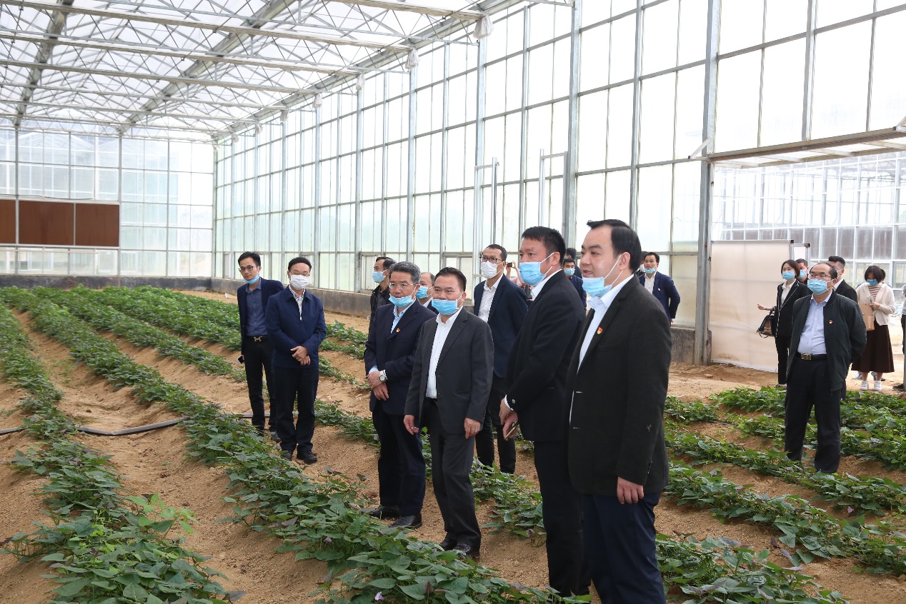 說明: E:\ShareCache\賴妙苗\共享內(nèi)容\2020.03.17五華縣簽約儀式錄音\【文化中心拍攝圖片】五華花卉種植項(xiàng)目簽約儀式\DE5A5140.JPG